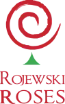 Róże Łukasz Rojewski